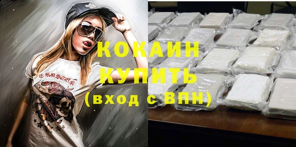 ешки Алексин